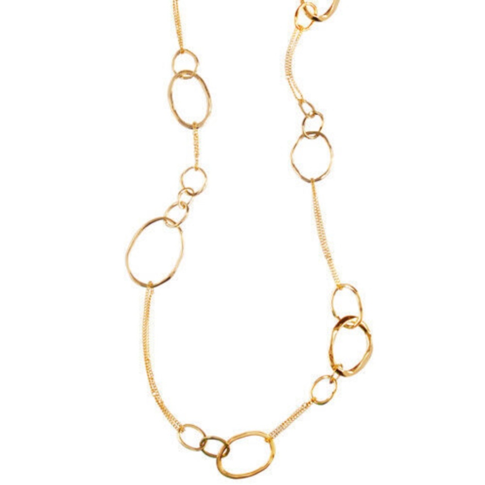 Chloe + Isabel Long Organic Link + Chain Necklace